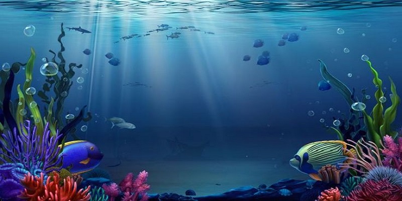 Vua bắn cá 3 Mẹo giúp người dùng trải nghiệm đi săn hiệu quả